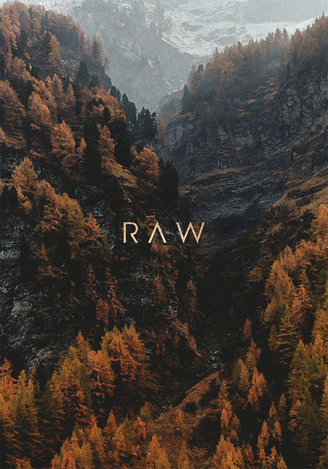 RAW 2nd Edition