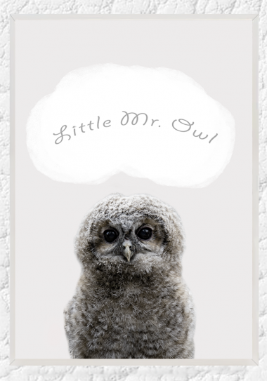 Little Mr. Owl