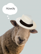 Happy_sheep
